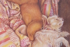 Still-Life-With-Puppies